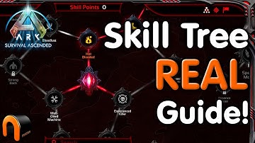 Ark SKILL TREE Guide REAL GOOD Advice!