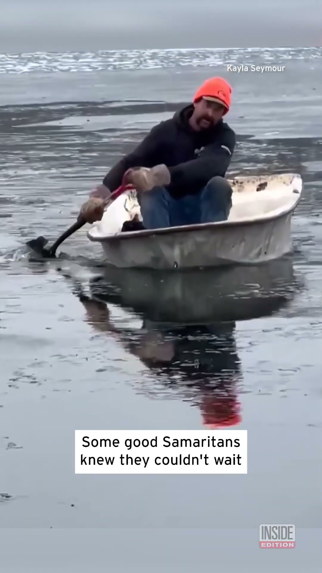 Cat Rescued From Icy Lake #shorts