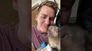 Tey Eating Monkeys Head