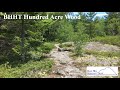 Hundred acre wood  blue hill heritage trust 1 minute