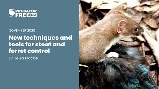 Pfnz Trust Webinar New Techniques And Tools For Stoat And Ferret Control