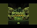 The squatch expands life grouch in dub remix