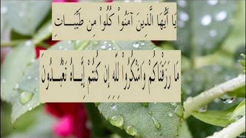 القران الكريم سورة البقرة الاية 172