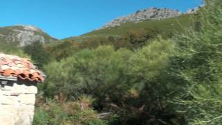 Ruta del Acebal de Abiada - 28 - 09 - 2016