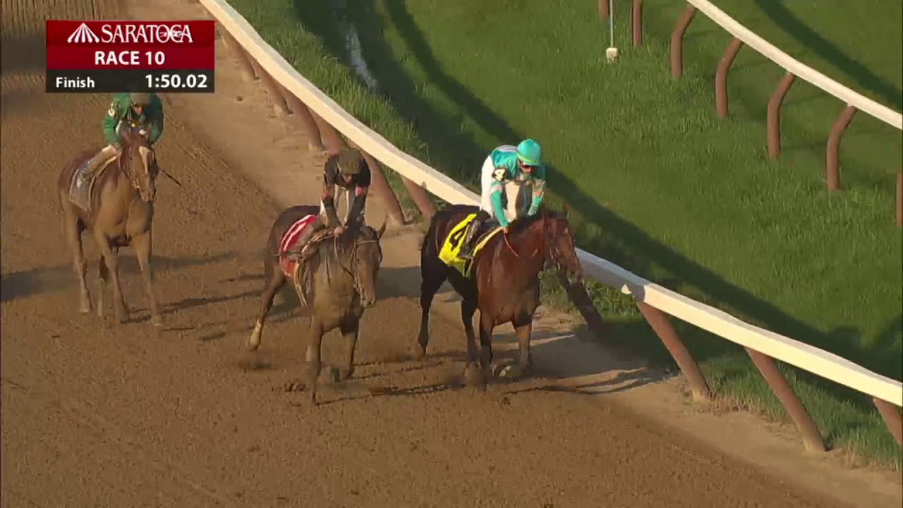 horse racing news Realm - 2018 - The Alydar Stakes
