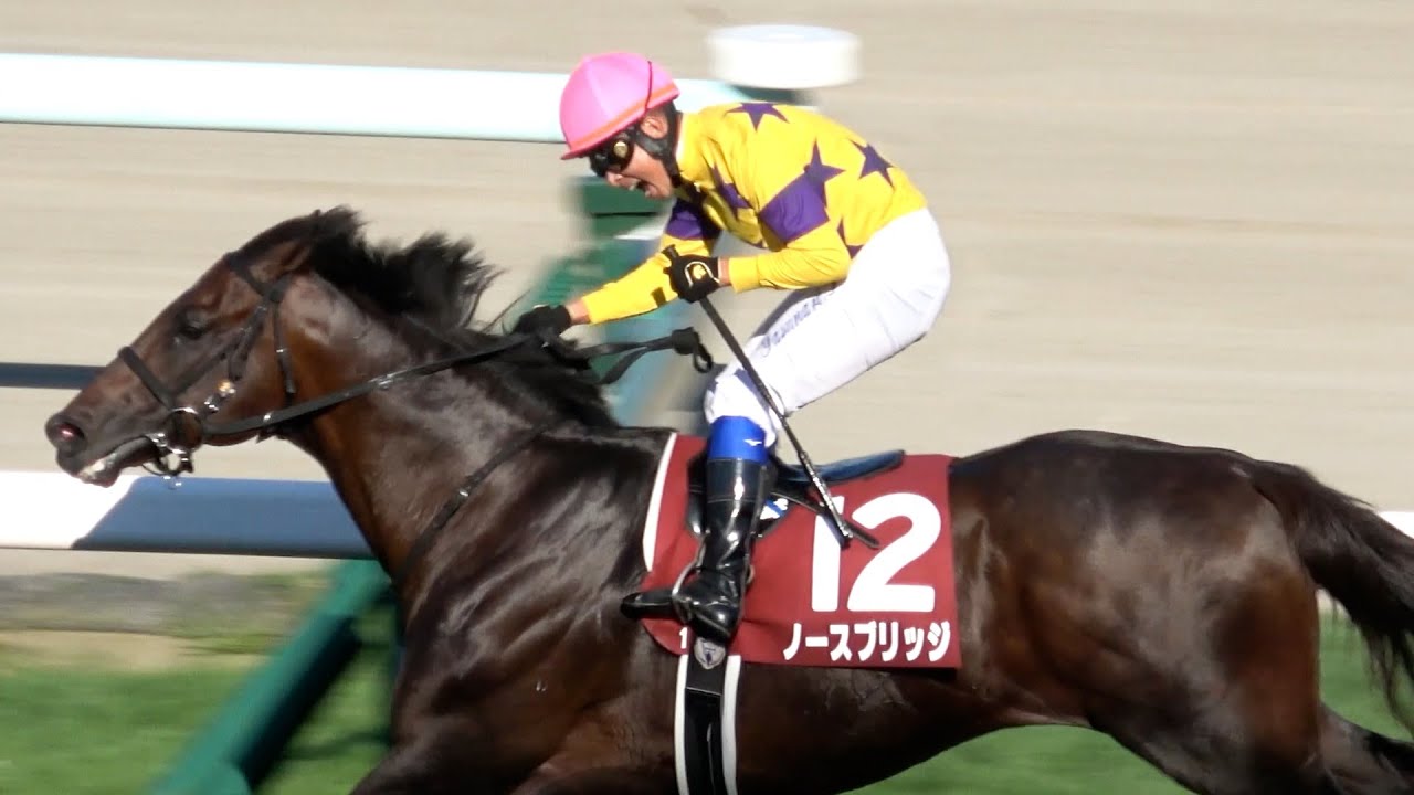 札幌記念2024】岩田騎手ゴール後に派手なガッツポーズ‼ 函館記念・札幌