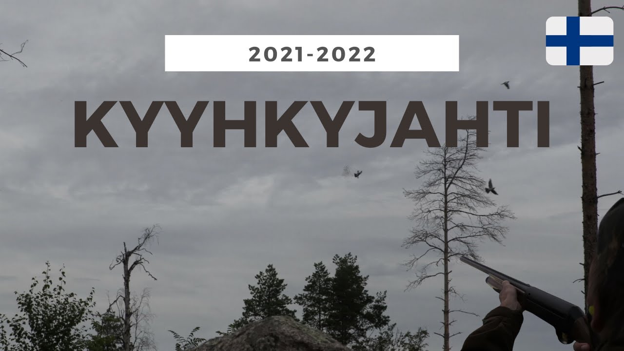 KYYHKYNMETSÄSTYS / PIGEON HUNTING 2021-2022