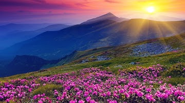 🌹أذكار الصباح  🌹أحمد العبيد +سعود الفايز{منقول قناة استماع القرآن الكريم كمال السايس حسين الغرباوي