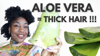 4 WAYS TO USE ALOE VERA GEL ON YOUR HAIR | THICKER HAIR &amp; EXTREME HAIR GROWTH