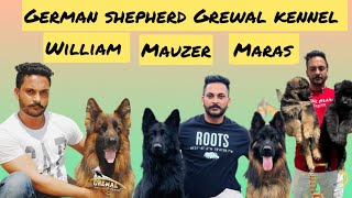 Grewal kennal India First Long Cort German shepherd kennal owner Prem Grewal