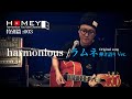 「harmonious YouTube channel HOMEY 特別版003」【ラムネ 弾き語りVer】