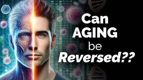 Can Aging be Reversed? Stem Cells as a Key to Longevity