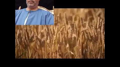 الشيخ ابو الفتوح حسن عبده التلاوات النادره ترتيل الربع الثاني من الجزء الثالث من سورة البقرة
