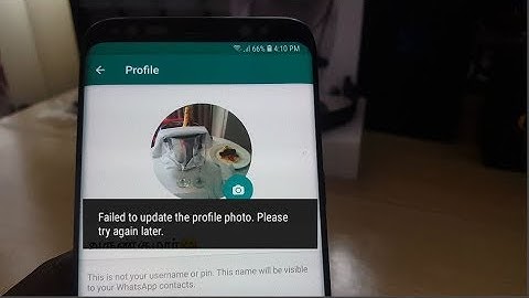 Whatsapp Failed to Update the Profile Photo Please Try Again Later Fix