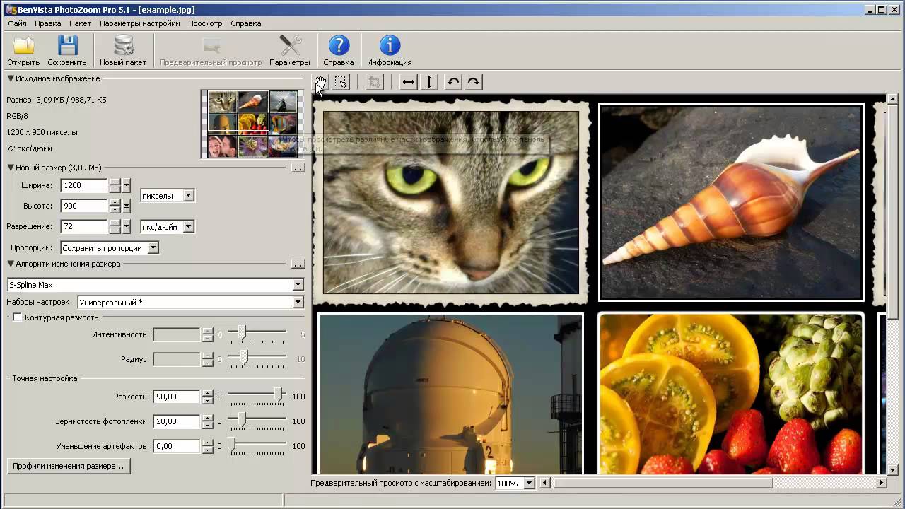 Программа Для Изменения Размера Фото