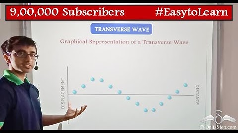 Longitudinal and Tansverse Waves Difference | Class 7 | CBSE | NCERT | ICSE