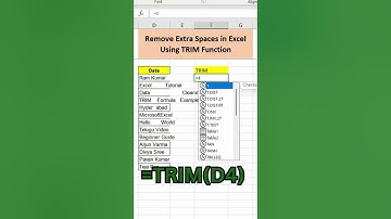 Remove Extra Spaces in Excel Using TRIM Function #excel #spreadsheetmagic #excelshortcuts #exceltips