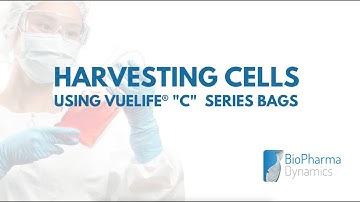 How to: Harvest Cells Using VueLife "C" Series Bags | Cell Culture Harvesting