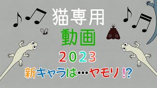猫専用動画 2023 cat game for cat. 新キャラは・・・ヤモリ！？編