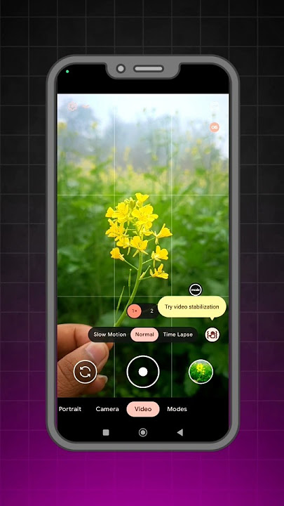 Lmc 8.4 Video Config File Full Setup A To Z Process - Lmc 8.4