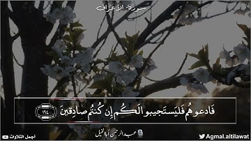 ﴿وإذا قرئ القرآن فاستمعوا له وأنصتوا لعلكم ترحمون﴾ سورة الأعراف | القارئ : عبدالرحمن أبا الخيل