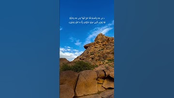سورة القصص ماهر المعيقلي #قران #quran #تلاوة