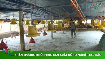 Khẩn trương khôi phục sản xuất nông nghiệp sau bão