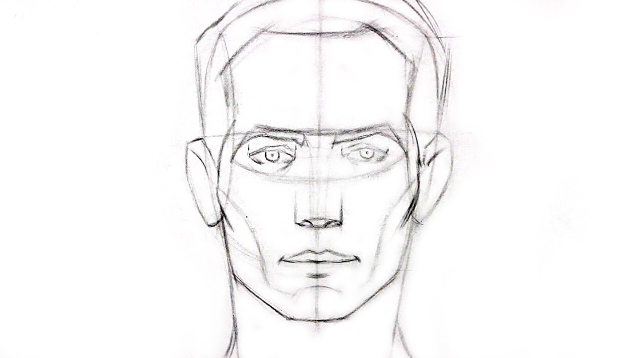 How to Draw the Head - Front View - YouTube