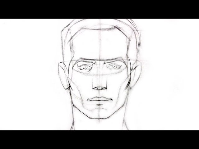 How to Draw The Front View of The Male Head