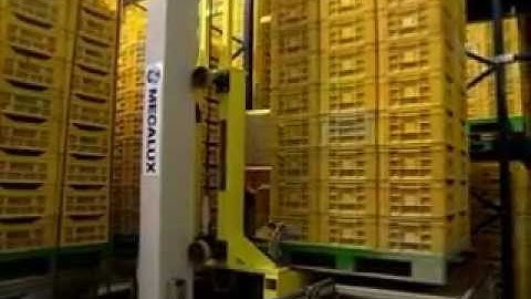 Automated Stacker Cranes