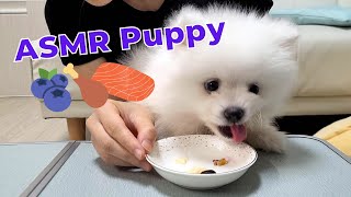 ASMR Puppy - Blueberry Salmon Chicken Feast | Mukbang #1 by Sarangsnowbear 362 views 1 year ago 5 minutes, 11 seconds