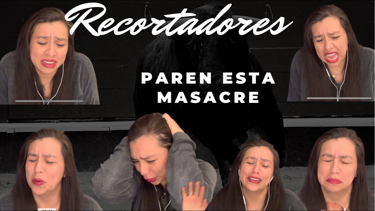 Concurso de recortadores 2019