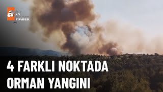 Orman yangınları söndürüldü - atv Ana Haber 23 Haziran 2023