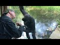 A bonobo trying to imitate a man in a zoo