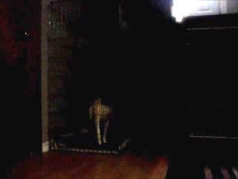 Klepto Dog
