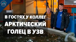 В гостях у коллег. Арктический Голец в УЗВ