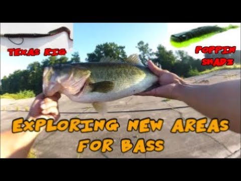 kayak flight SLAYING BASS(Retention POND and CANAL fishing)!! - Texas Rig/Poppin Shadz