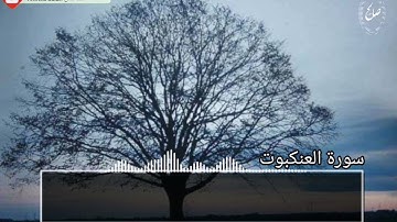ويستعجلونك بالعذاب ولولا اجل مسمى لجاءهم العذاب😢#القارئ_أحمد_صالح #سورةالعنكبوت