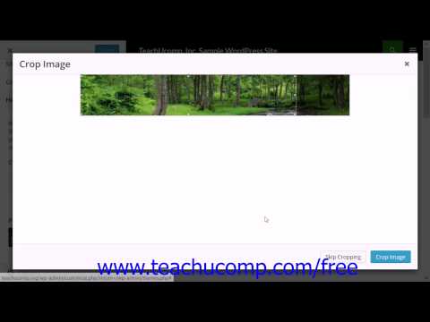 WordPress 4.0 Training Tutorial Custom Header Images