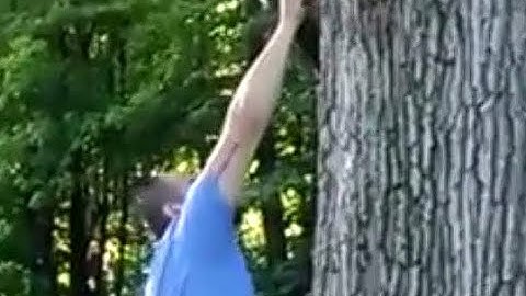 Delphi Murders. Open Discussion. 9/25/2023