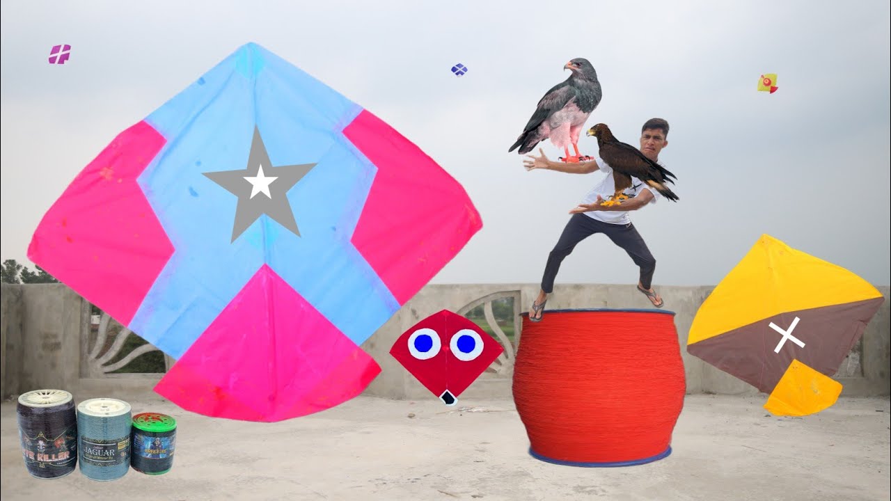 Gudda Kite Vs Eagle Catch Kite YouTube