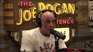 Joe Rogan talks about the Watchers w/ Diana Pasulka