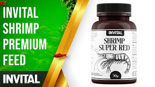 Invital Shrimp Premium Feed Invital