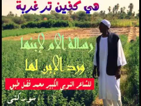 قصيدة نوبية رسالة ام لابنها ورد الابن للشاعر طبق