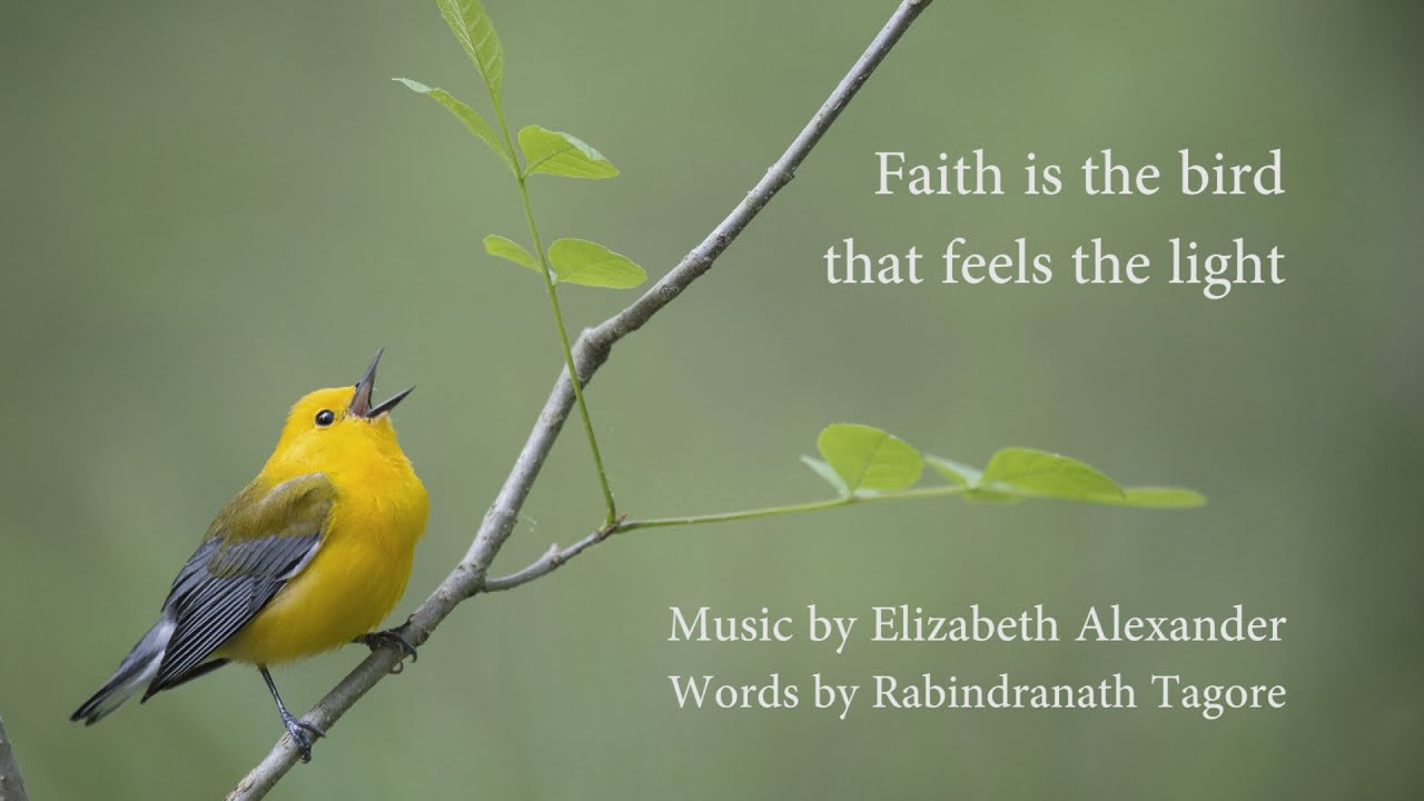 essay on faith is the bird that feels the light