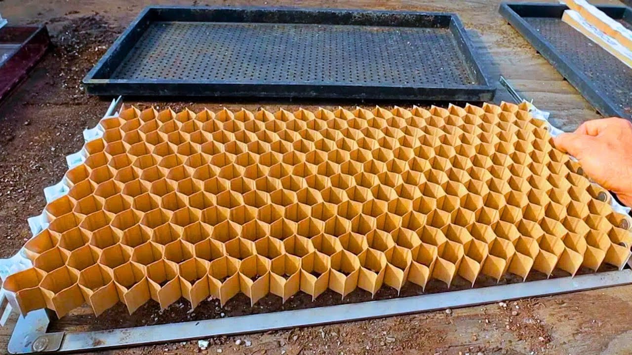 Super FAST Seed Planting System by Paperpot.co YouTube