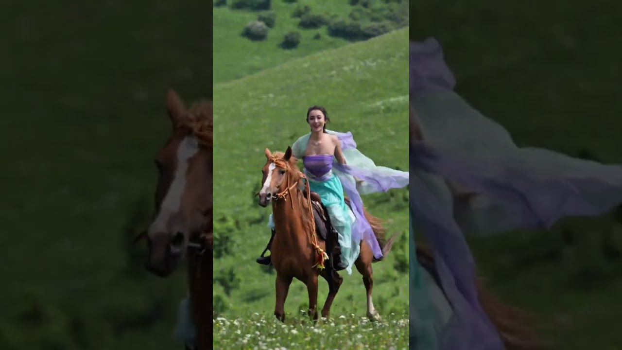 Is This Kind Of Wandering Around The World Life You Want Horse