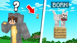 Someone STOLE My PET BORK In Minecraft! (Bee Town)