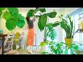 Plant Tour🪴 Living with 13 Plants & 3 Kids｜Japanese Family home | Vases & Home Decor | Daily Vlog