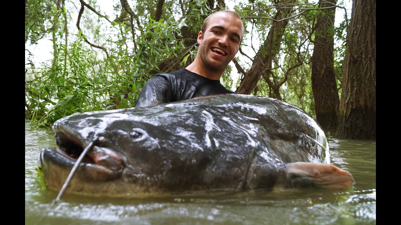 UNI CAT: Rekord Waller von Lukas Kreus aus Deutschland: Die Auflösung ...